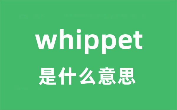 whippet是甚么意义