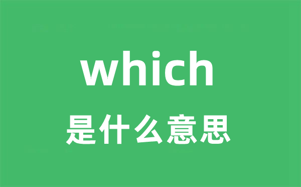 which是甚么意义