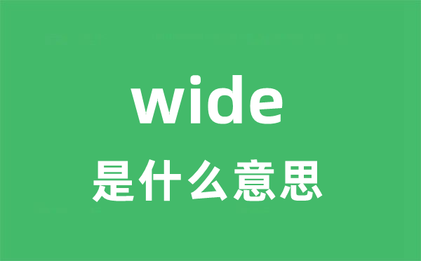 wide是甚么意义