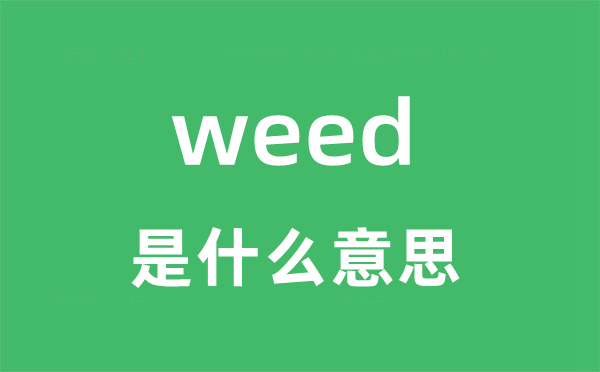 weed是甚么意义