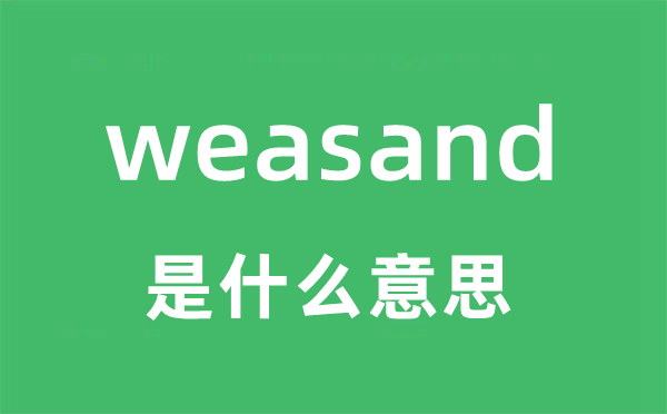 weasand是甚么意义