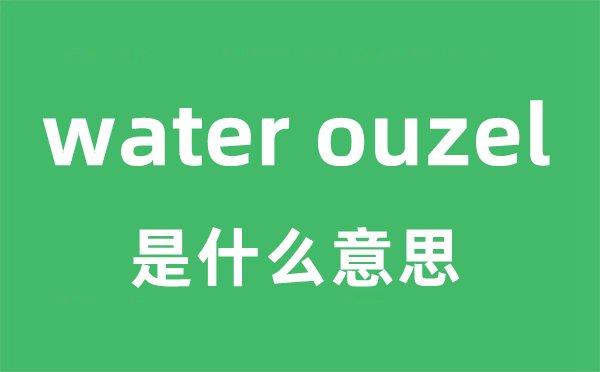 water ouzel是甚么意义