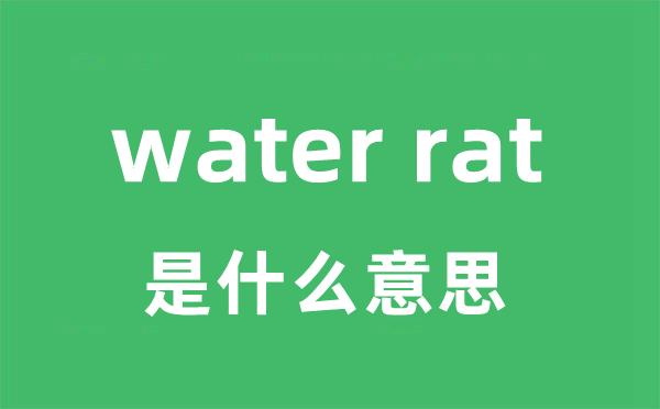 water rat是甚么意义