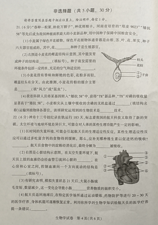 2023年郑州中考生物试卷真题及谜底