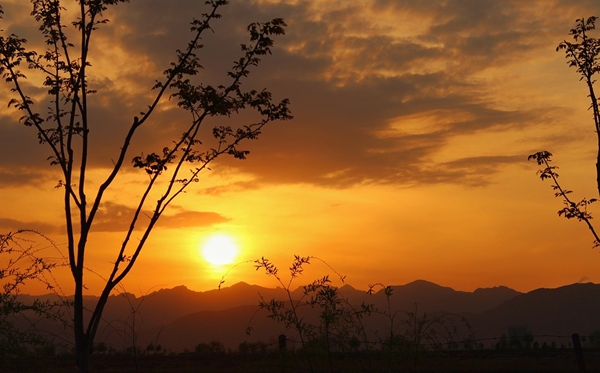 宁夏有哪些大学,宁夏自治区一切大学名单一览表