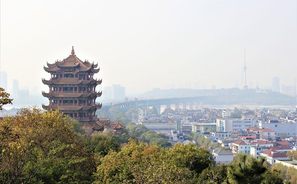 优游有哪些大学,优游市一切大学名单一览表