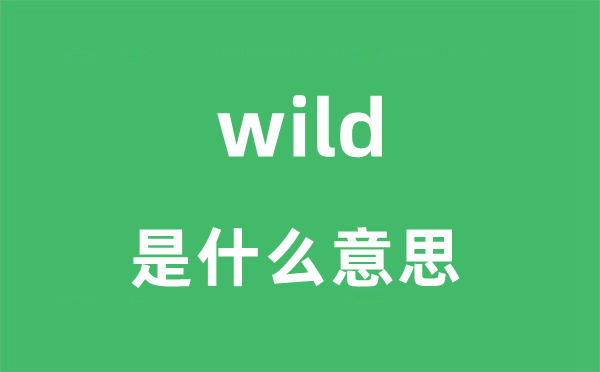 wild是甚么意义