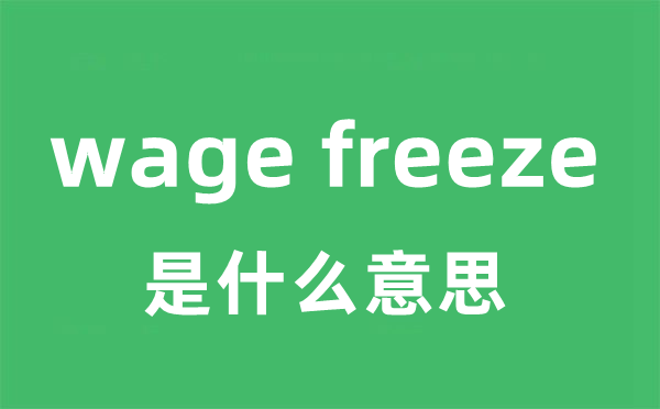 wage freeze是甚么意义