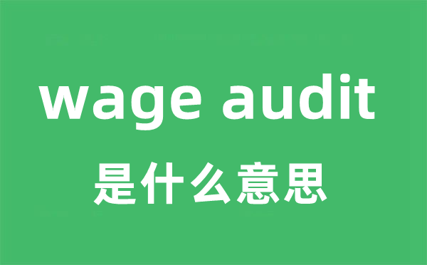 wage audit是甚么意义