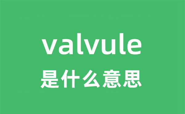 valvule是甚么意义