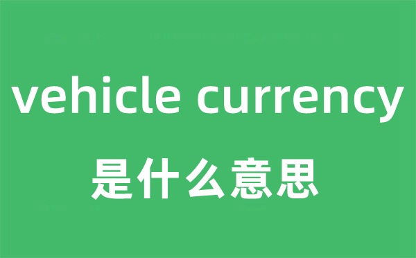vehicle currency是甚么意义