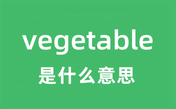 vegetable是甚么意义