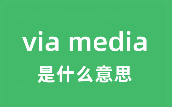 via media是甚么意义