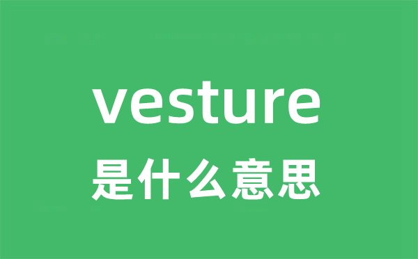 vesture是甚么意义