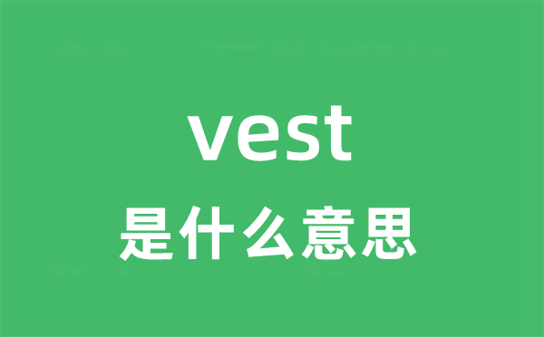 vest是甚么意义
