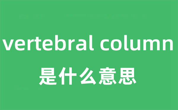 vertebral column是甚么意义