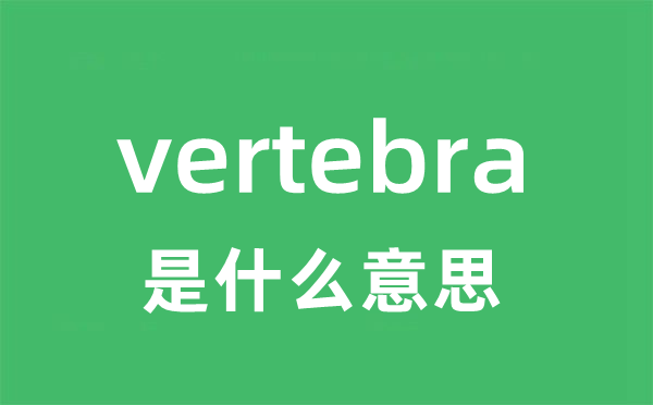 vertebra是甚么意义