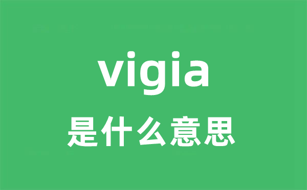 vigia是甚么意义