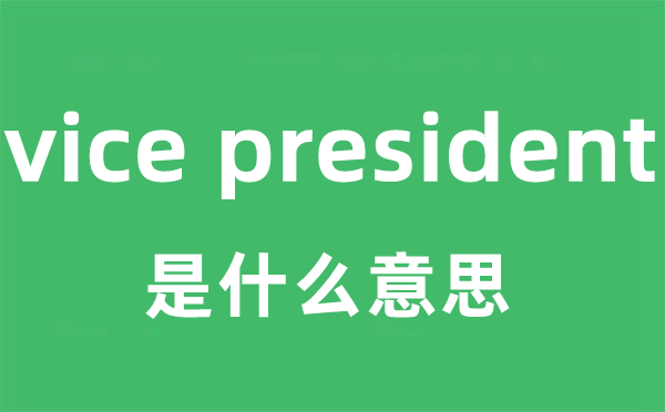 vice president是甚么意义