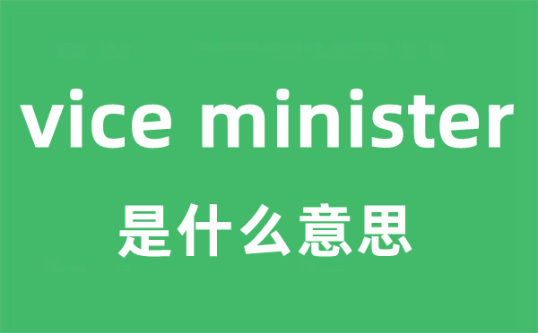 vice minister是甚么意义