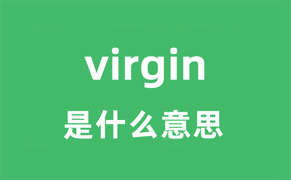 virgin是甚么意义