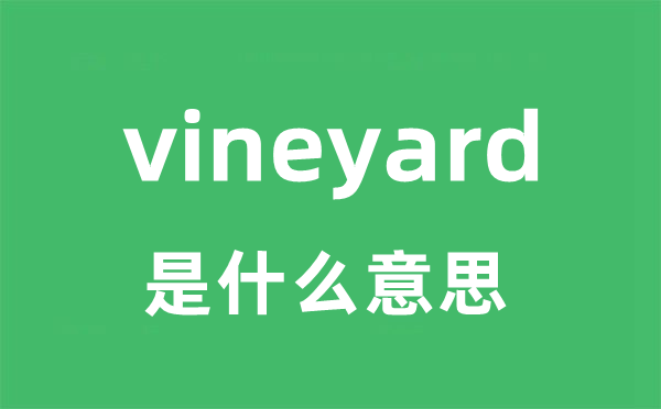 vineyard是甚么意义