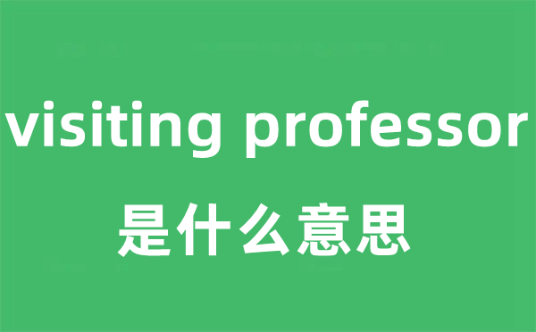 visiting professor是甚么意义