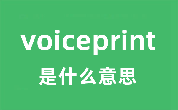 voiceprint是甚么意义