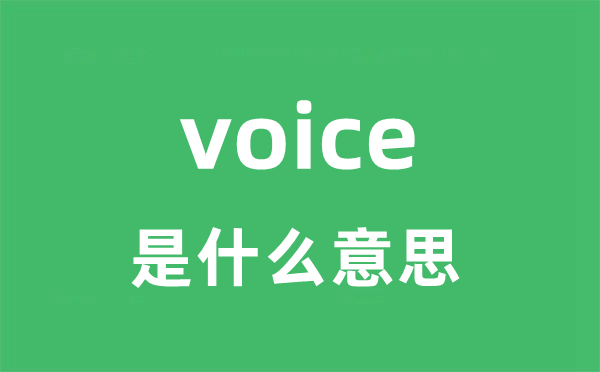 voice是甚么意义