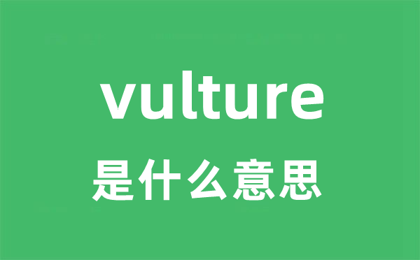 vulture是甚么意义