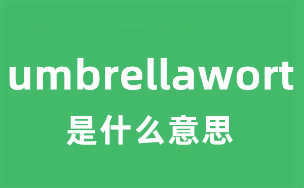 umbrellawort是甚么意义
