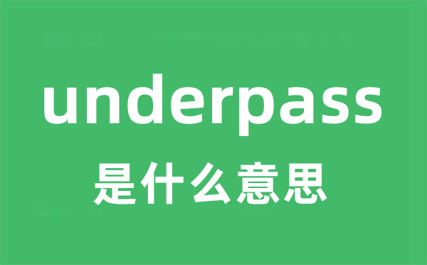 underpass是甚么意义