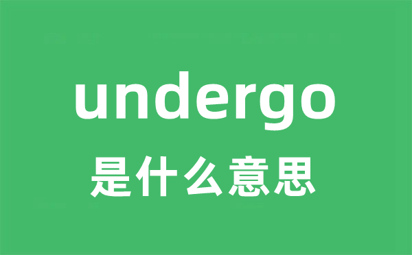 undergo是甚么意义