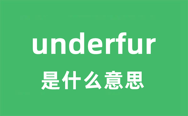 underfur是甚么意义