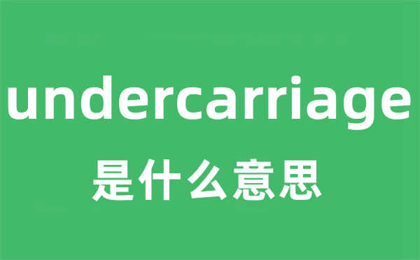 undercarriage是甚么意义