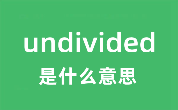 undivided是甚么意义
