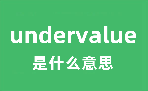 undervalue是甚么意义