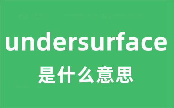 undersurface是甚么意义