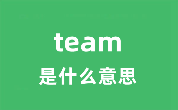 team是甚么意义