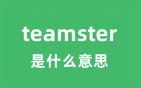 teamster是甚么意义