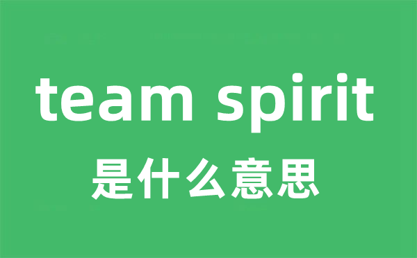 team spirit是甚么意义