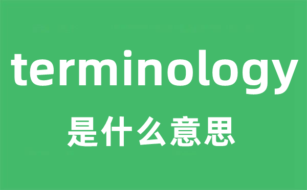 terminology是甚么意义