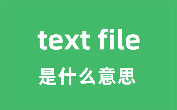 text file是甚么意义
