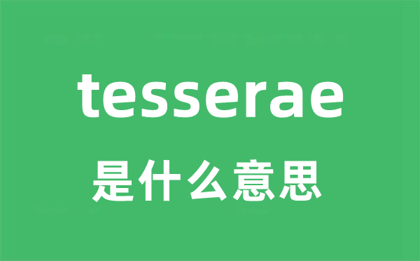 tesserae是甚么意义