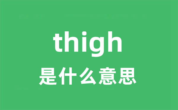thigh是甚么意义