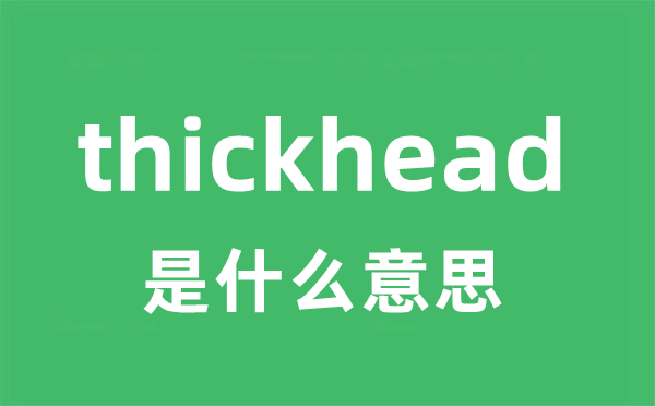 thickhead是甚么意义