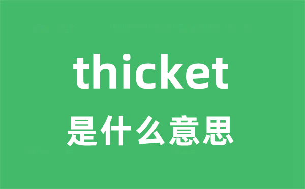 thicket是甚么意义