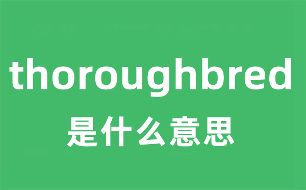 thoroughbred是甚么意义