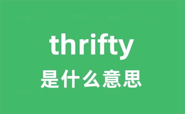 thrifty是甚么意义