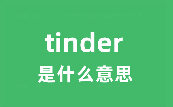 tinder是甚么意义